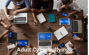 Adult Cyberbullying