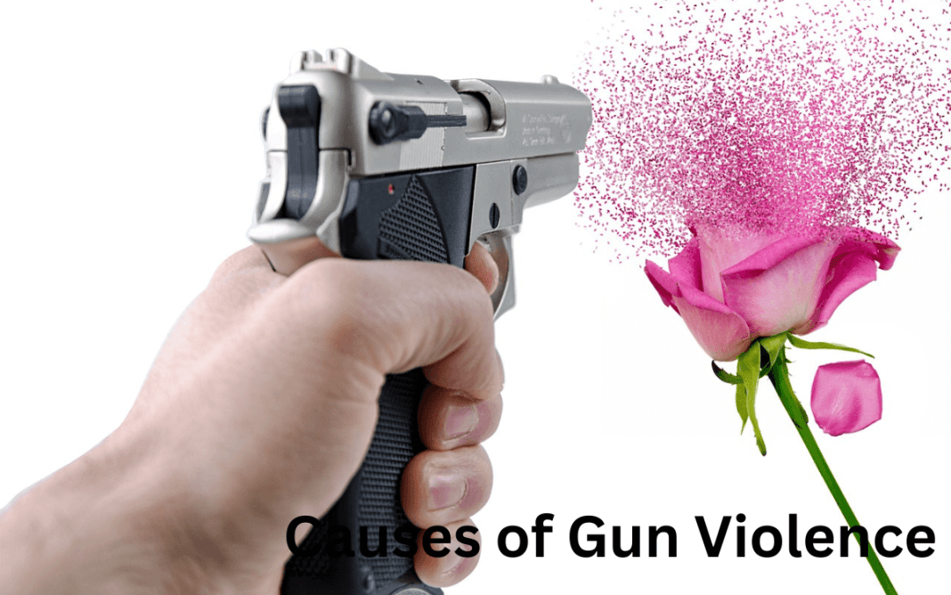 Causes of Gun Violence