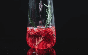 Pomegranate Cocktail Recipes