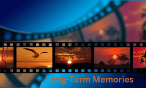 Long-Term Memories