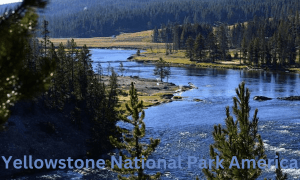 Yellowstone National Park America