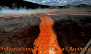 Yellowstone National Park America