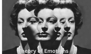 Theory of Emotions