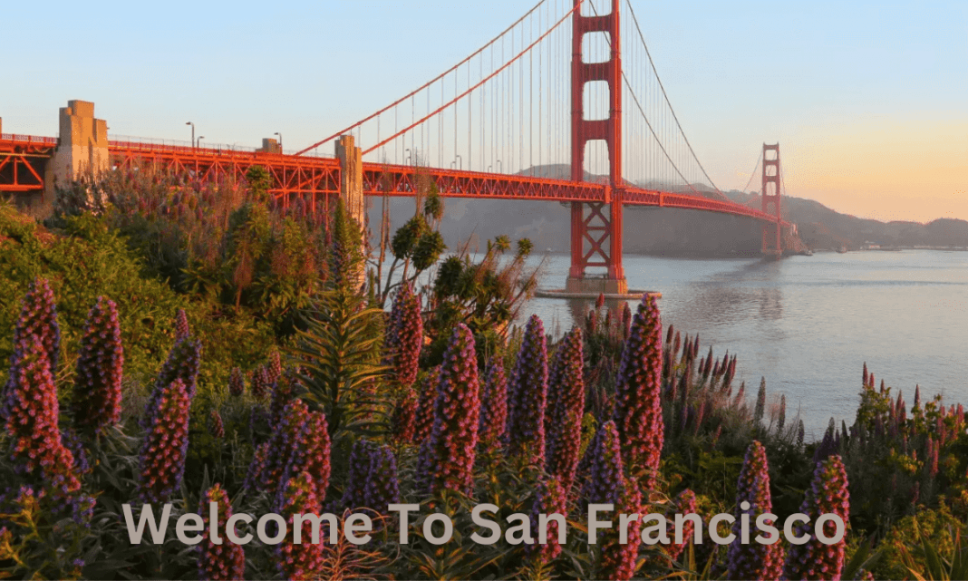 Welcome To San Francisco (