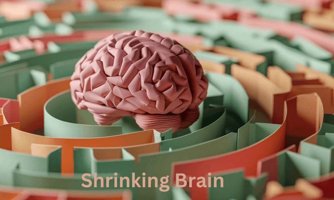 Shrinking Brain