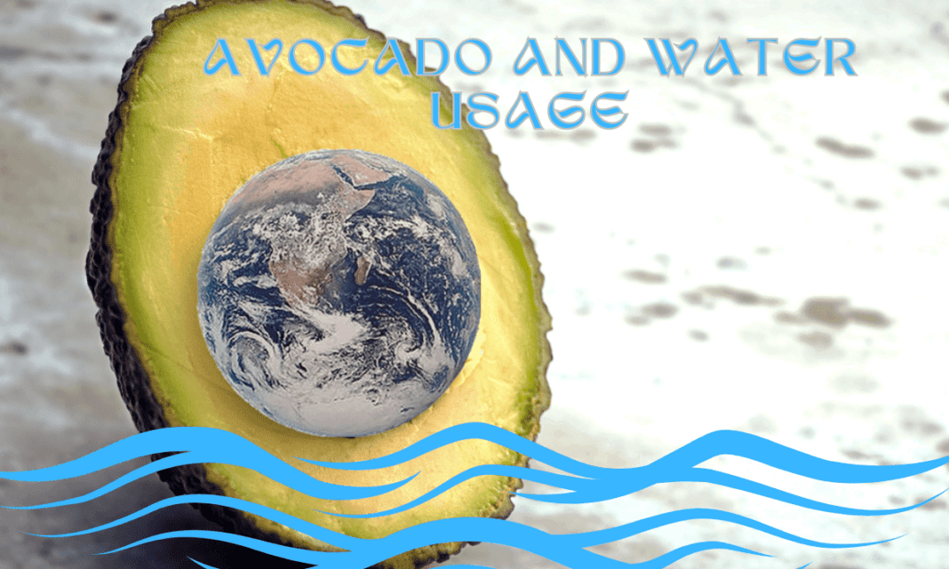 Avocado and Water Usage